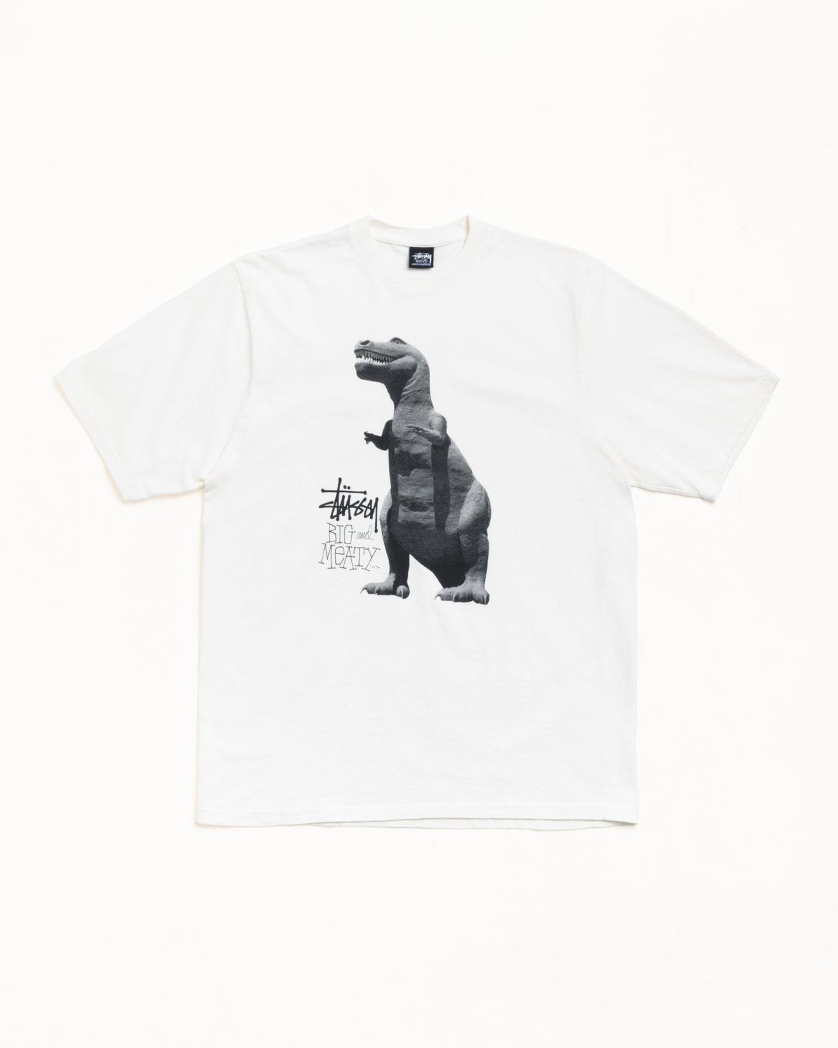 BIG & MEATY TEE PIGMENT DYED