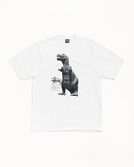 BIG & MEATY TEE PIGMENT DYED