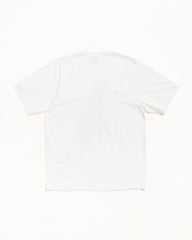 BIG & MEATY TEE PIGMENT DYED